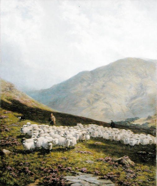 Shepherd and Sheep, Perthshire