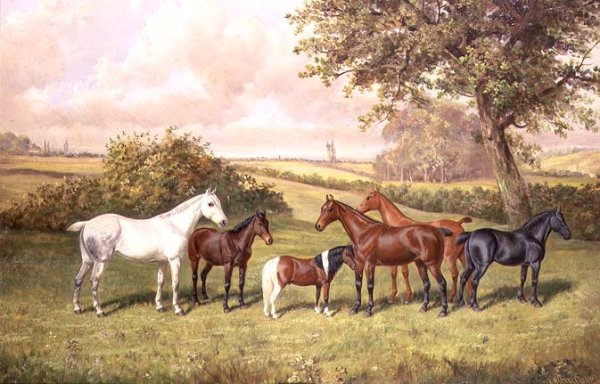 A Group of Ponies