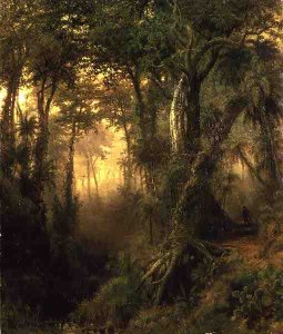 A Hunter in the Cuban Jungle, Sunrise, 1869