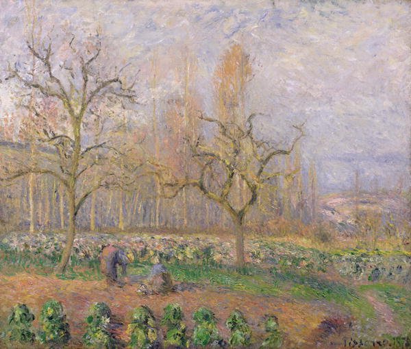 Orchard at Pontoise, 1878