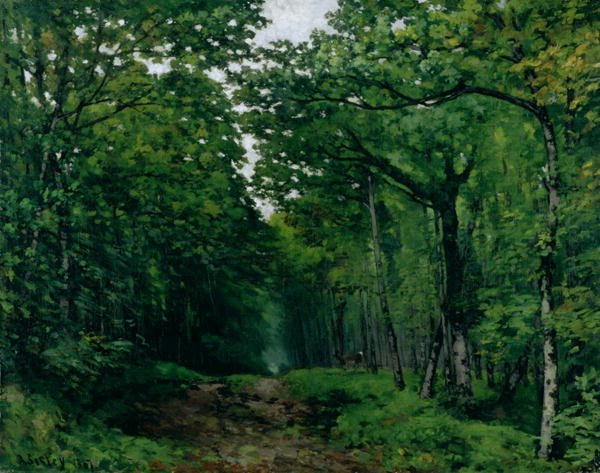 The Avenue of Chestnut Trees at La Celle-Saint-Cloud, 1867