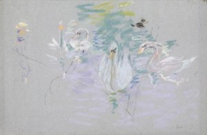 Swans 1885