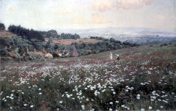 The Daisy Field, Fittleworth