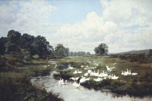 The Freedom of the Common, Wonhams Marsh, Surrey, 1905