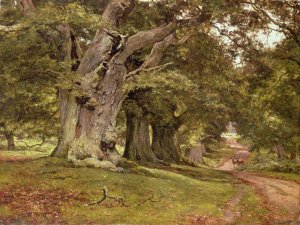 The Oak's Massive Trunk, Aldermaston Park, Berkshire, 1912