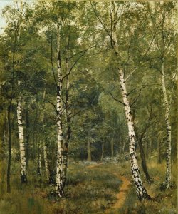 Silver Birches, Fittleworth Common, Sussex