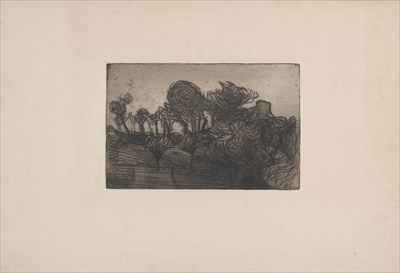 Arbres et Toit Trees and Roof 1893