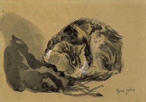 Study of a Cat