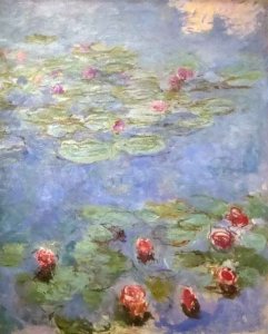 Water Lilies 43