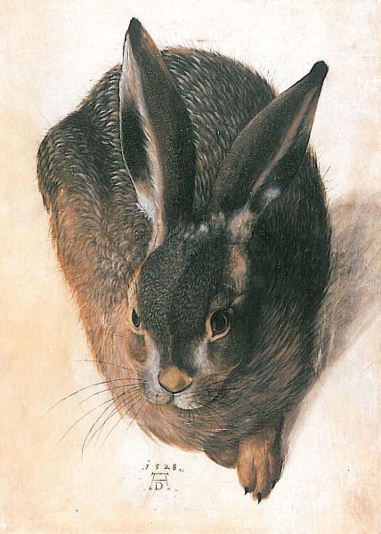 Hare