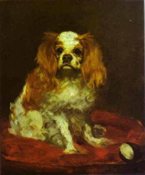 A King Charles Spaniel