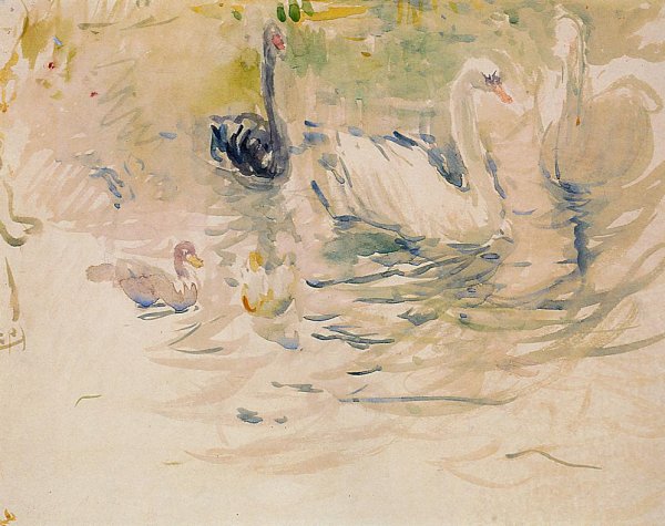 Swans