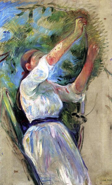 Young Girl Picking Cherries