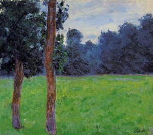 Two Trees In A Meadow