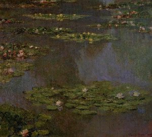 Water Lilies37