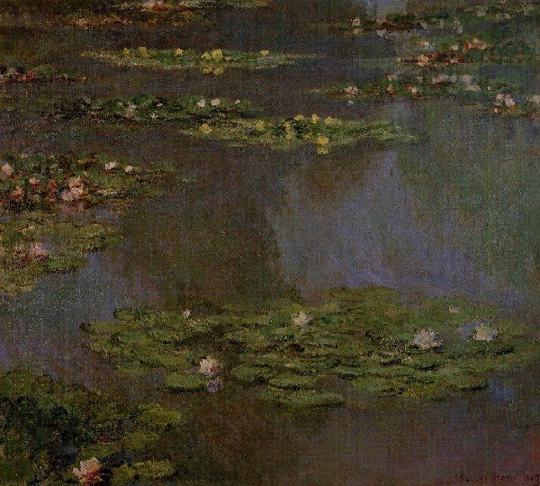 Water Lilies36