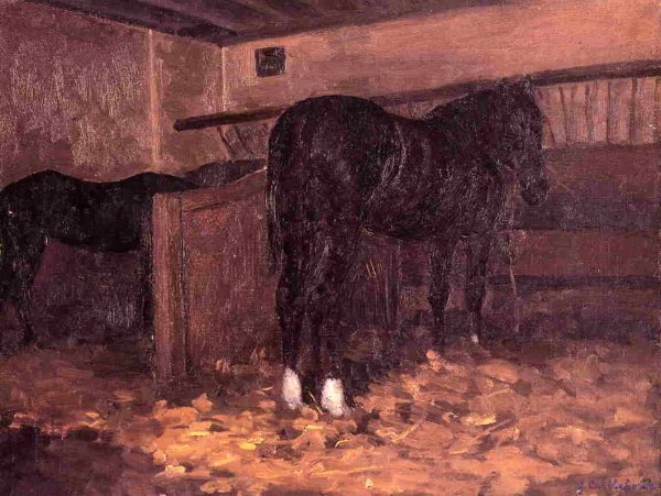 Horses In The Stable