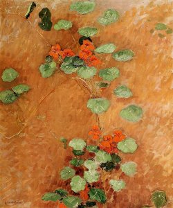 Nasturtiums2