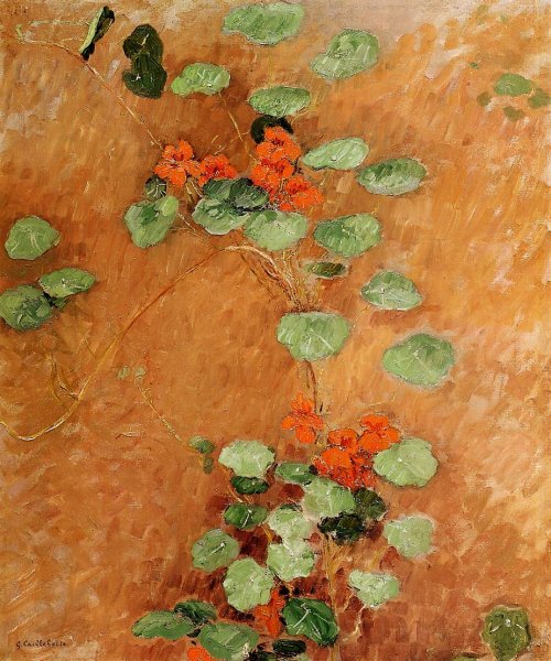 Nasturtiums2