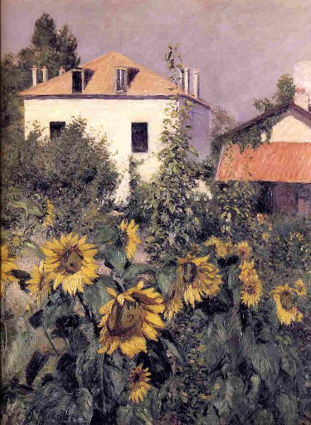 Sunflowers  Garden At Petit Gennevilliers