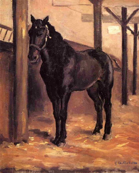 Yerres  Dark Bay Horse In The Stable