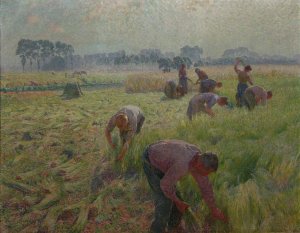 Flax Harvesting