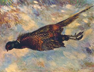 Pheasant In The Snow