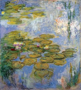 Water Lilies12