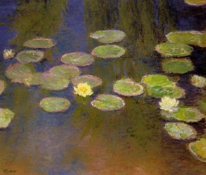 Water Lilies37