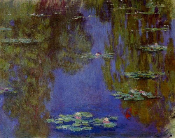 Water Lilies45