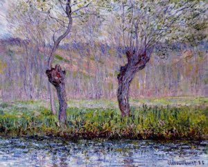 Willows In Springtime