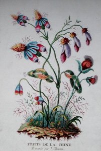 Fruits of China, 1794