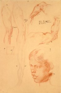 Annotated demonstration, Drawings and a Study of a Girl's Head