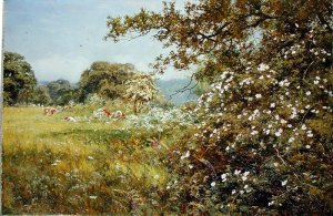 A Summer Hedgerow, 1895