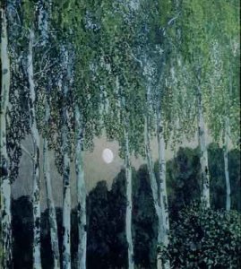 Birch Trees