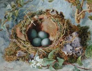 A Nest of Eggs