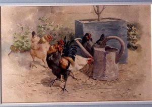 Chickens by a Watering Can