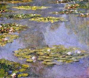 Water Lilies52